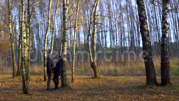 瘦削美丽的女人和一个男人拥抱在桦树附近的秋天公园里兴高采烈地谈论着视频的预览图