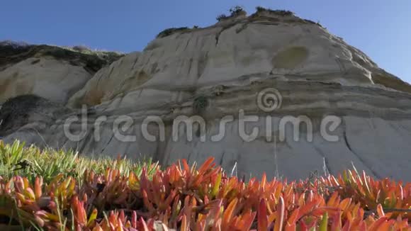低角度风景景观海洋悬崖海滩圣克莱门特加州卡拉菲亚海滩视频的预览图