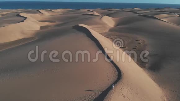鸟瞰白种人年轻女子在日落时沿着沙漠奔跑大西洋沿岸美丽的沙丘视频的预览图