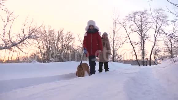 冬天女孩们在雪地森林里和狗一起旅行和玩耍冬天孩子们在雪地里和狗玩幸福家庭视频的预览图