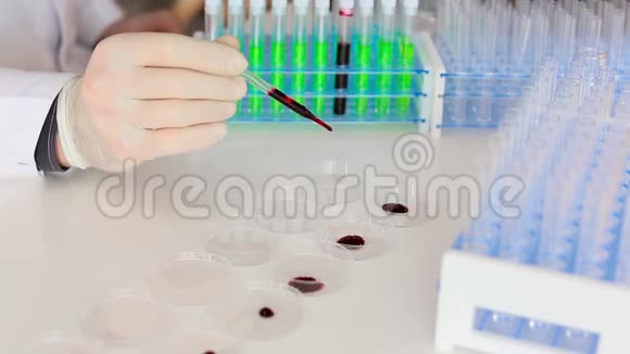特写一位研究人员的手在培养皿中滴血样的镜头现代生物技术概念视频的预览图