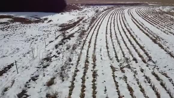 高清无人机拍摄的一片刚刚收获的雪地视频的预览图