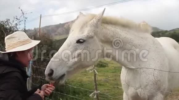一匹白马在绿色的草地上从他那戴着白色牛仔帽的女牛仔那里得到一根胡萝卜他的手直接放在嘴里视频的预览图