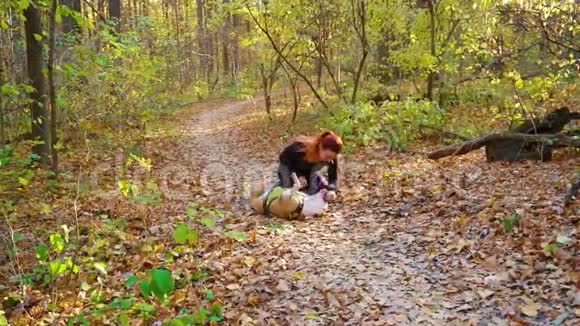 女孩亲吻美国斯塔福德郡的猎犬训练后在地上放松视频的预览图