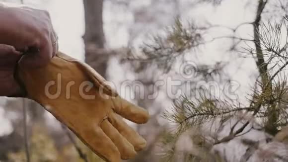 超级特写镜头的男性手把黄色保护绒面手套在切割木材之前森林慢动作视频的预览图