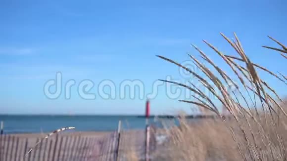 冬季威斯康辛州基诺沙西蒙斯海滩的海滩草地视频的预览图