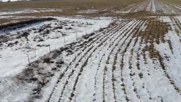 高清无人机拍摄的一片刚刚收获的雪地视频的预览图
