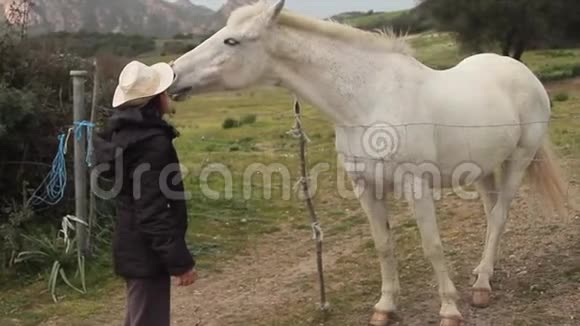 一匹白马在绿色的草地上抱着一顶白色的牛仔帽从他的女牛仔那里得到拥抱拥抱和抚摸视频的预览图