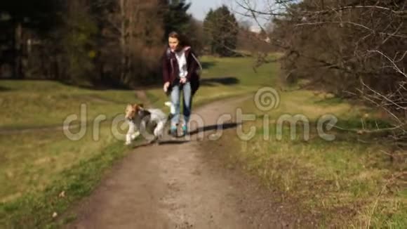 狗带着皮带跑在女主人前面沿着公园的路穿着勃艮第夹克和一件视频的预览图