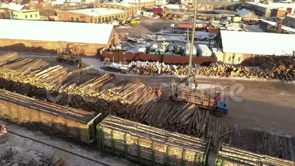 锯木厂的一列伐木火车把木头和树干堆放起来一列有砍伐树木的火车在火车上视频的预览图