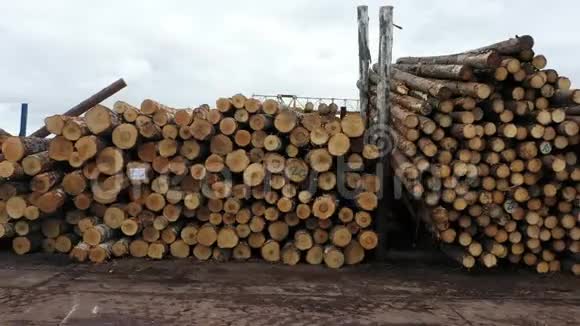 大堆柴火完美地堆在巨大的木桩上的鸟瞰图完美地堆放着木材原木视频的预览图