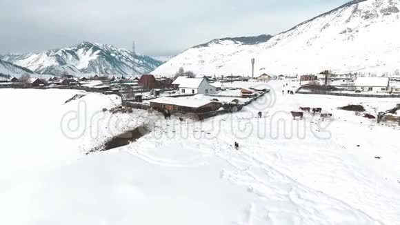 空中观景阿尔泰冬天飞越白雪覆盖的西伯利亚村庄空中景观视频的预览图