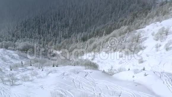 在森林景观上的冬季山上滑雪者可以自由地骑在粉状的雪田山上空中观景滑雪板视频的预览图