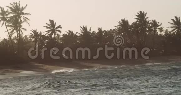朦胧的日落空中拍摄的有风的海滩和棕榈树视频的预览图