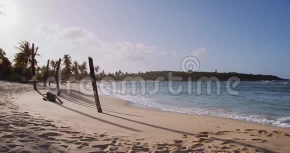 飓风海滩后棕榈树折断视频的预览图