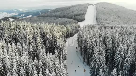 云杉林间滑雪道4k鸟瞰图视频的预览图