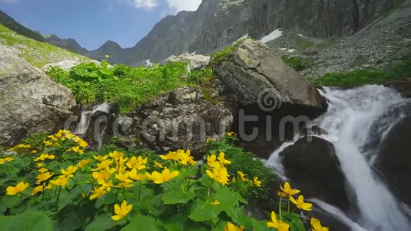 夏季塔特拉斯高地的MalyStudenyPotok溪视频的预览图