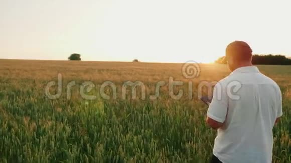 在田里干活的中年男子农民它使用数字平板电脑后景稳定射击视频的预览图