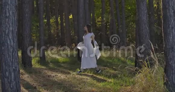 快乐的白种人女孩走在夏天的森林里的树木之间微笑着神秘的独立女性视频的预览图
