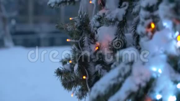 户外覆盖着白雪的圣诞树视频的预览图