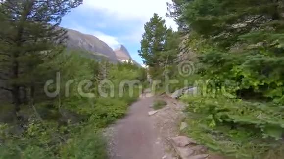 夏季在SWIFTCurrentPass小径上的冰川国家公园徒步旅行视频的预览图