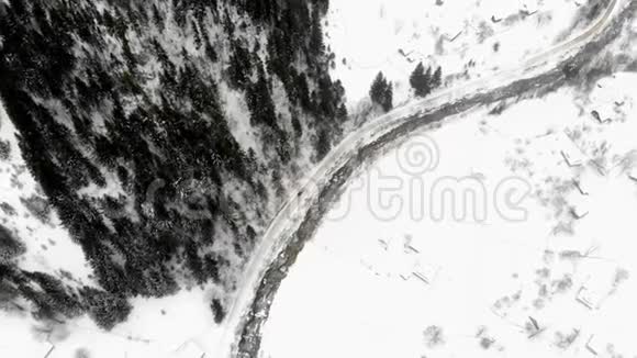 空中雪松之间空路的俯视图视频的预览图