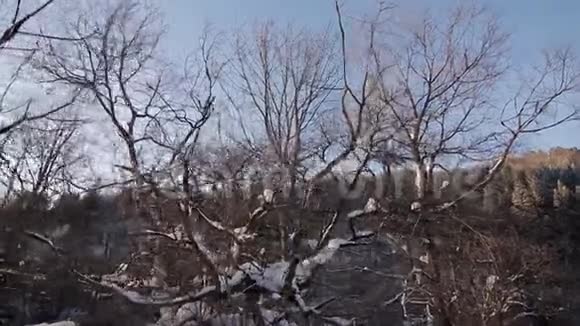 冬季河流的慢运动鸟瞰图视频的预览图