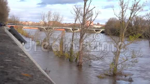 城市里的洪水视频的预览图