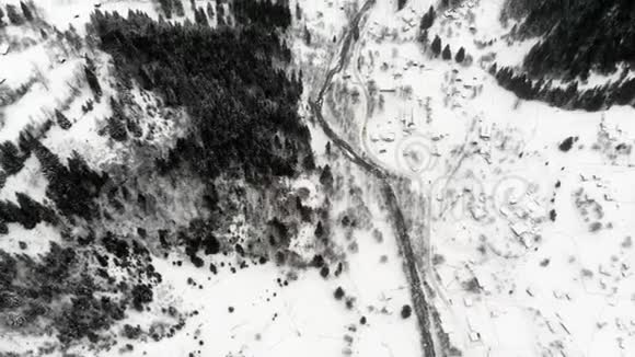 空中雪松之间空路的俯视图视频的预览图