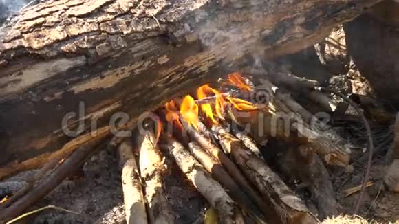 野餐时篝火燃烧露营徒步旅行夏日视频的预览图
