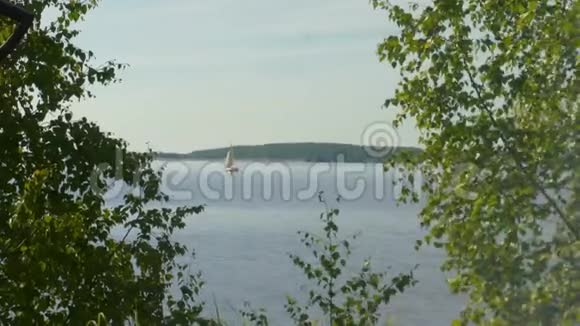 火的烟雾折射图像穿过绿树的河景光明的夏日遥远的帆船视频的预览图