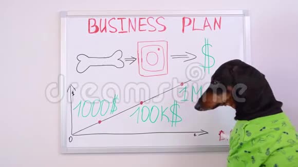 Dachshund狗正在研究一项商业计划该计划是在黑板上绘制的目的是增加收入和投资并开发他的产品视频的预览图