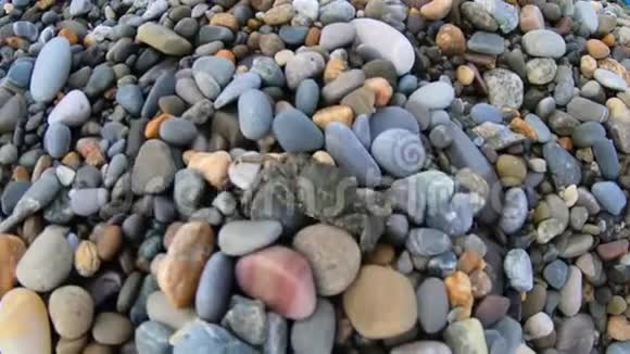小螃蟹跑在鹅卵石海滩上看水女人的手指操作摄像机视图视频的预览图