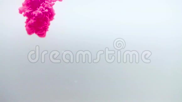 白色背景上分离的水中墨水彩虹般的色彩丙烯酸涂料的颜色和墨水在水中流动的白色背景视频的预览图