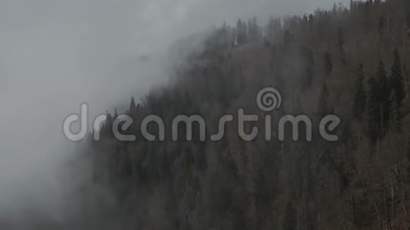 云爬过山的表面遮住了树梢时间推移视频的预览图