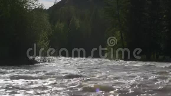 一条带着松树的暴风雨之河从岸边流过视频的预览图