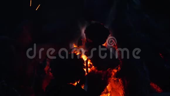 火在黑暗中燃烧在森林中燃烧壁炉里的木头和火焰视频的预览图