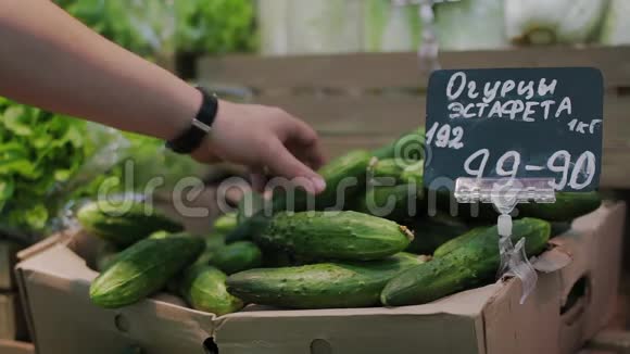 男人选择黄瓜男手在超市拿青黄瓜特写精选黄瓜蔬菜视频的预览图