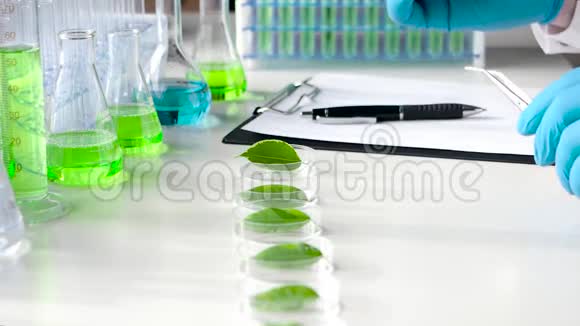 基因研究实验室近景科学家将药物滴在培养皿中的绿叶上视频的预览图