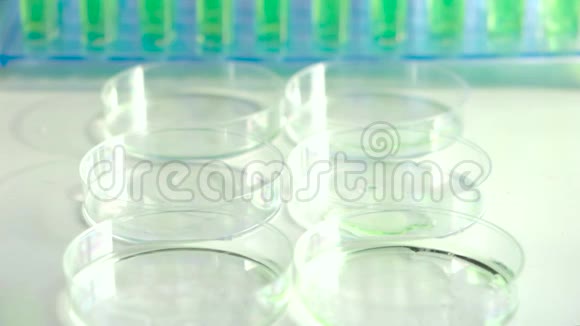 一位科学家用镊子把绿叶放入培养皿中视频的预览图