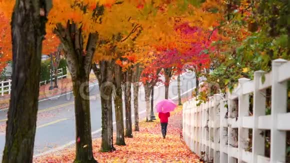 秋叶飘落小姑娘撑着伞走在人行道上视频的预览图