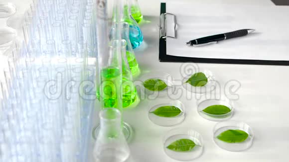 一位科学家滴下一种药物以加速培养皿中绿叶的生长植物基因突变实验室视频的预览图