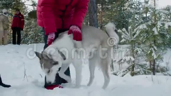 冬天森林里快乐的孩子们和狗摆姿势视频的预览图
