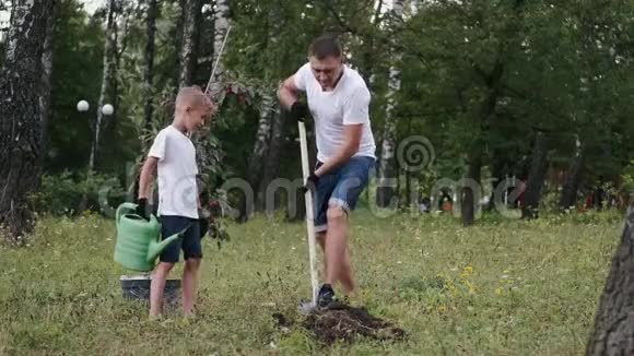父亲正在挖一个洞来挖一棵幼苗视频的预览图
