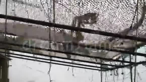 在飓风中被摧毁的街头咖啡馆的屋顶视频的预览图