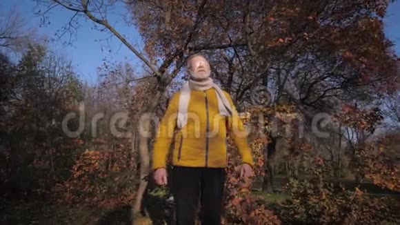 公园里秋日温暖的白天戴着灰色胡子眼镜的老人散步时享受着清新的空气和阳光视频的预览图