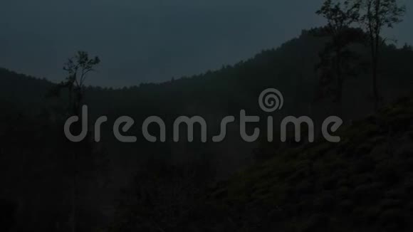 在茂密的森林中灰色的烟雾从山上升起视频的预览图