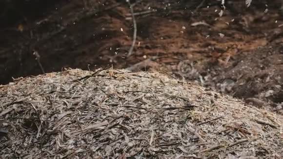 在农业化肥厂覆盖式粉碎机的近距离锯屑会慢慢地从覆盖式粉碎机飞出来视频的预览图