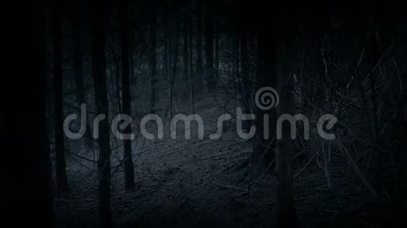 穿过树林中的黑暗通道视频的预览图