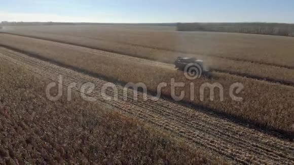 从高处收获玉米田拖拉机视频的预览图